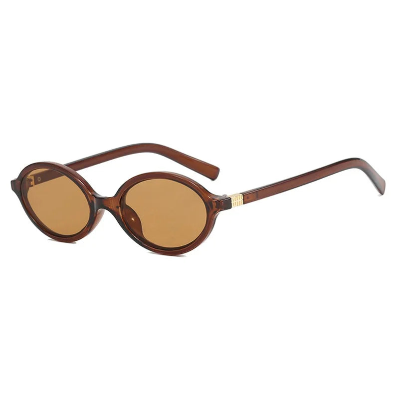 Vintage Oval Sunglasses Women New Luxury Brand Designer Small Oval Anti Blue Light Glasses Retro Fashion Men Leopard Eyegalsses